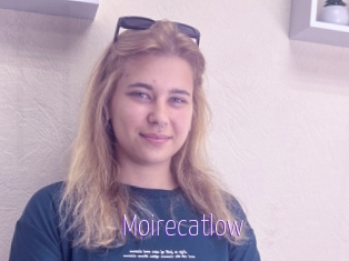 Moirecatlow