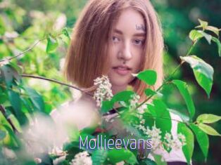 Mollieevans