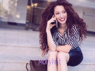 Mollykat