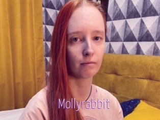 Mollyrabbit