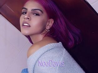 NoaDavis