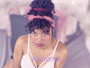 Nayinameli