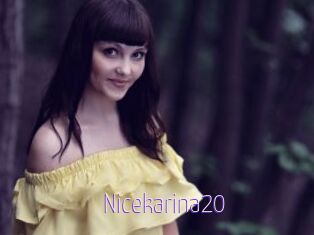Nicekarina20