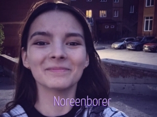 Noreenborer