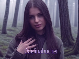 Odelinabucher