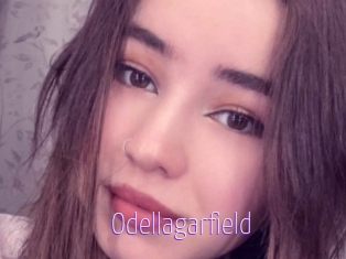 Odellagarfield