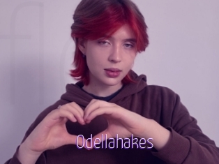 Odellahakes