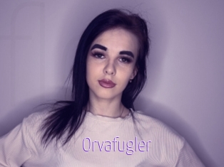 Orvafugler