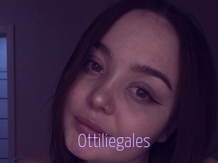 Ottiliegales