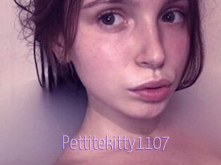 Pettitekitty1107