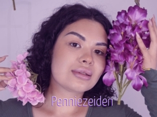 Penniezeiden
