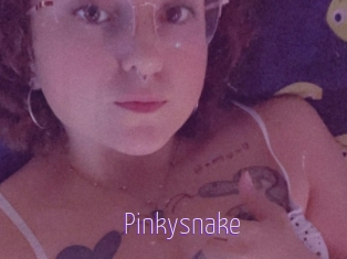 Pinkysnake