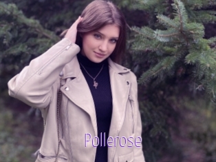 Pollerose