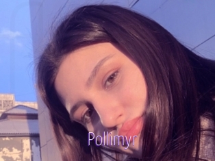 Pollimyr