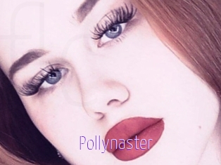 Pollynaster
