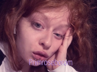 Primroseborom