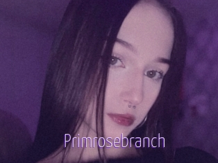 Primrosebranch