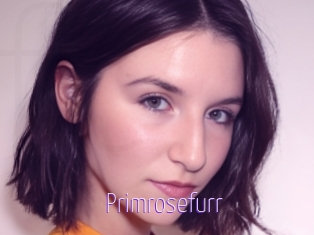Primrosefurr