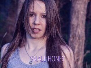 SMALL_HONEY