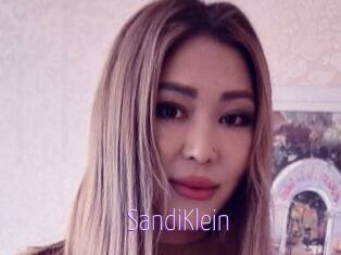 SandiKlein