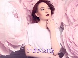 SheleyCarey