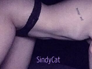 SindyCat