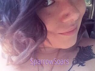 SparrowSoars
