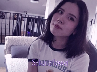Sakuraflower