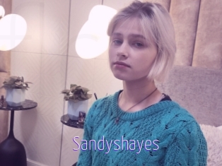 Sandyshayes