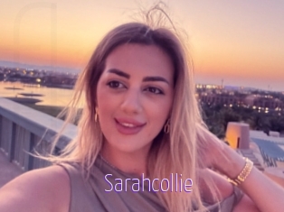 Sarahcollie