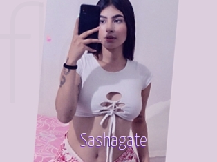 Sashagate