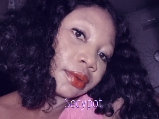 Secypot
