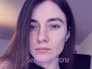 Seekeroftheone
