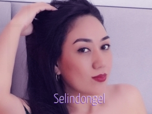 Selindongel