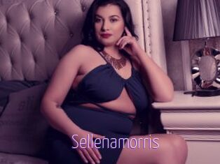 Sellenamorris