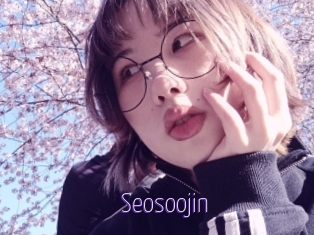 Seosoojin