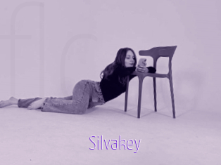 Silvakey