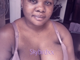 Skybirdxx