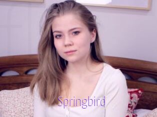 Springbird