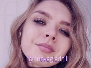 Synnovegledhill