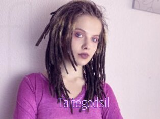 Taitegodsil
