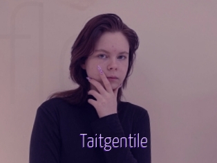 Taitgentile