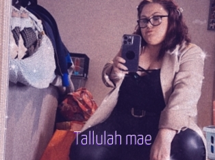 Tallulah_mae