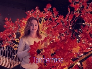 tanderrose Fuck Lolita Cunt