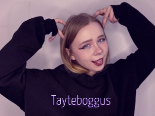 Tayteboggus