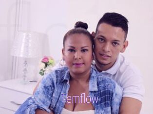 Temflow