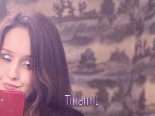 Tinamit