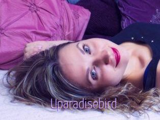 Uparadisebird