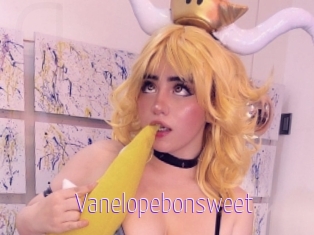 Vanelopebonsweet
