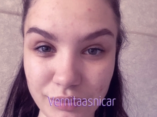 Vernitaasnicar